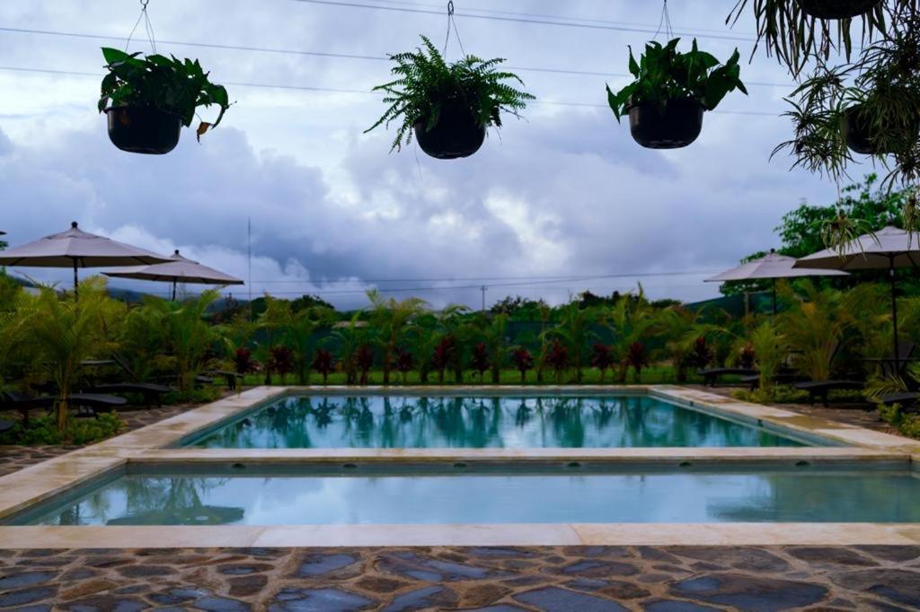 Jardin De Estrellas Compostela Exterior photo